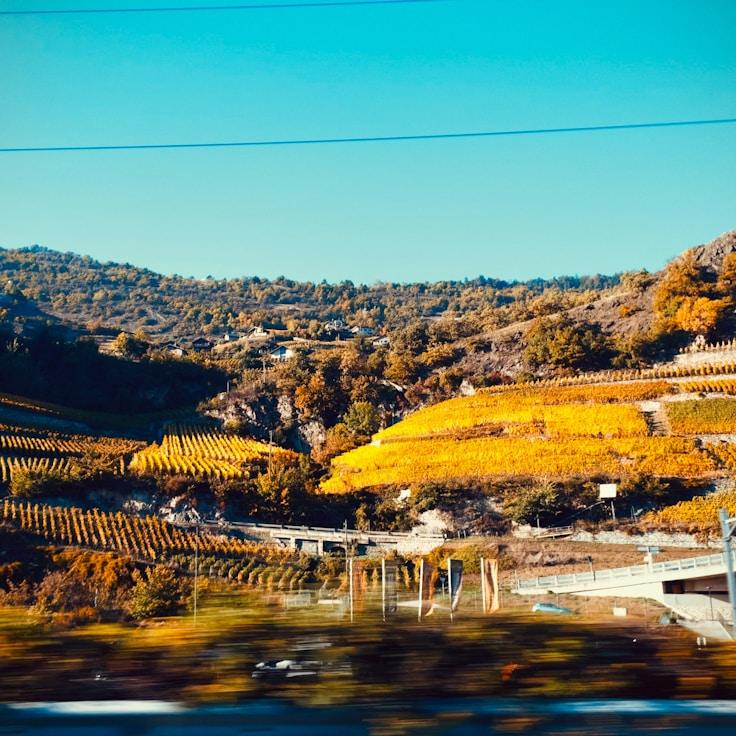 Family terraces and cafés for calm evenings in Barcelona